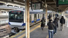 77137-2.jpg
