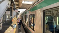 77141.jpg
