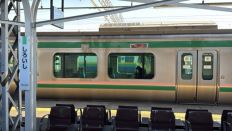 77142.jpg