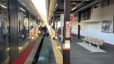 77147-1.jpg