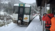 77181.jpg