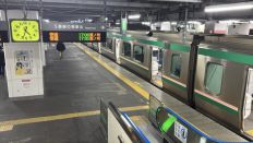 77183.jpg