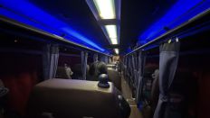 77191-3.jpg