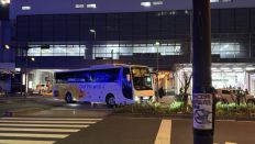77191.jpg