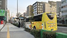 77193.jpg