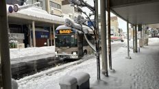 77239.jpg
