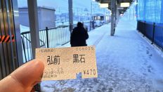 77277-3.jpg