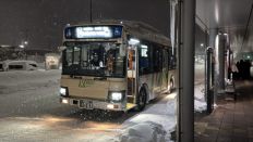77281.jpg