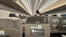77282-2.jpg