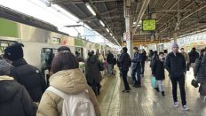 77300.jpg