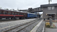 77339-1.jpg
