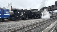 77339-3.jpg