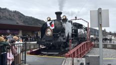 77344-1.jpg