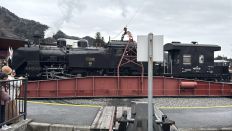 77344-2.jpg