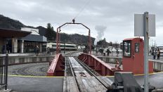 77344-4.jpg