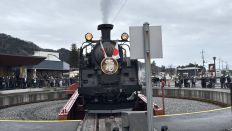 77344.jpg