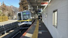 77391.jpg
