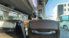 77405-3.jpg