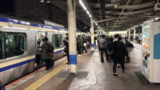 77408.jpg