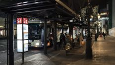 77411.jpg
