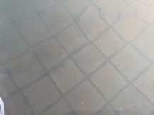 77421-3.jpg