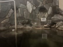 77446-1.jpg