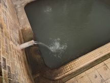 77469-1.jpg