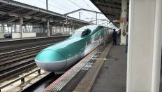 77485-1.jpg