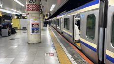 77486-1.jpg