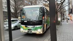 77495-1.jpg