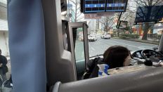 77495-2.jpg