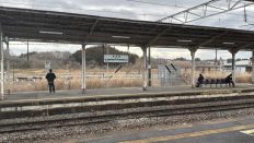 77511-2.jpg