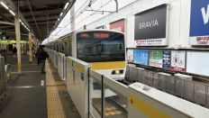 77545-2.jpg