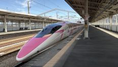 77575-1.jpg