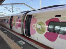 77576-1.jpg