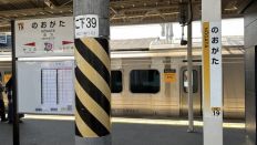 77601.jpg