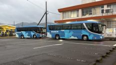 77641.jpg