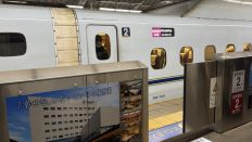 77651-1.jpg