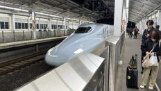 77651.jpg