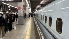 77664.jpg