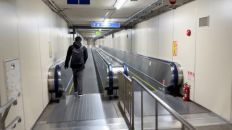 77724-2.jpg