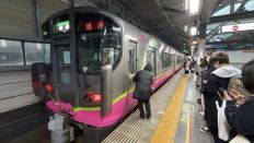 77736-1.jpg
