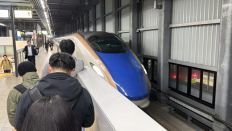 77742-2.jpg