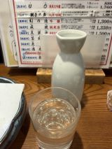 77748-2.jpg