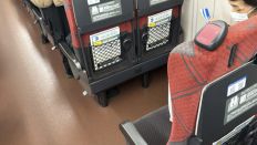 77761-3.jpg