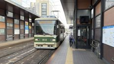 77790.jpg