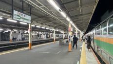 77805.jpg