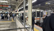 77806.jpg