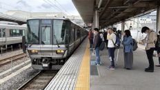 77814-2.jpg