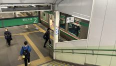 77874-1.jpg